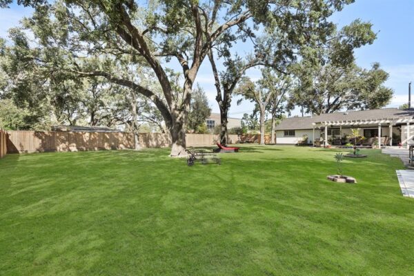 1441 Bingle Road  Houston 77055 Harris - Image 6