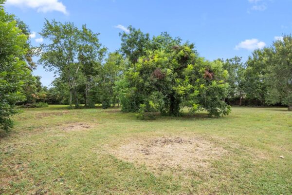 1550 Pitts Road  Richmond 77406 Fort Bend - Image 27