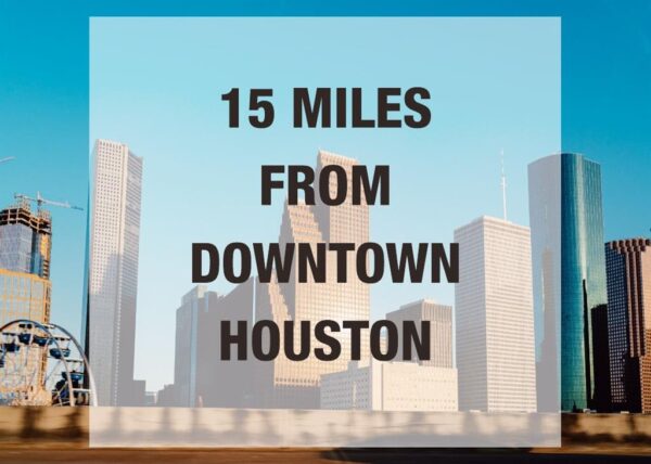 316 Terra Reserve Place  Houston 77079 Harris - Image 30