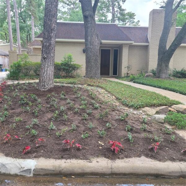 354 Tealwood Drive  Houston 77024 Harris - Image 4