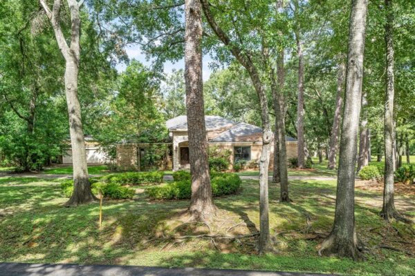 417 Rancho Bauer Drive  Houston 77079 Harris - Image 3