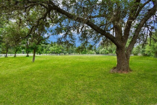2918 La Rama  Richmond 77469 Fort Bend - Image 32