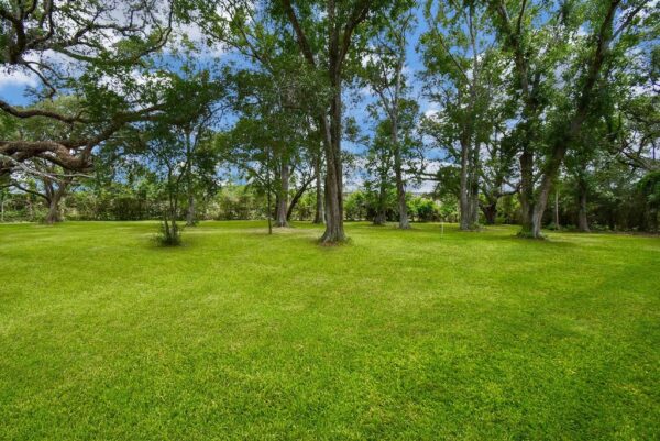 2918 La Rama  Richmond 77469 Fort Bend - Image 34
