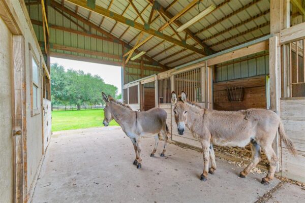 4303 River Forest Drive  Richmond 77406 Fort Bend - Image 40