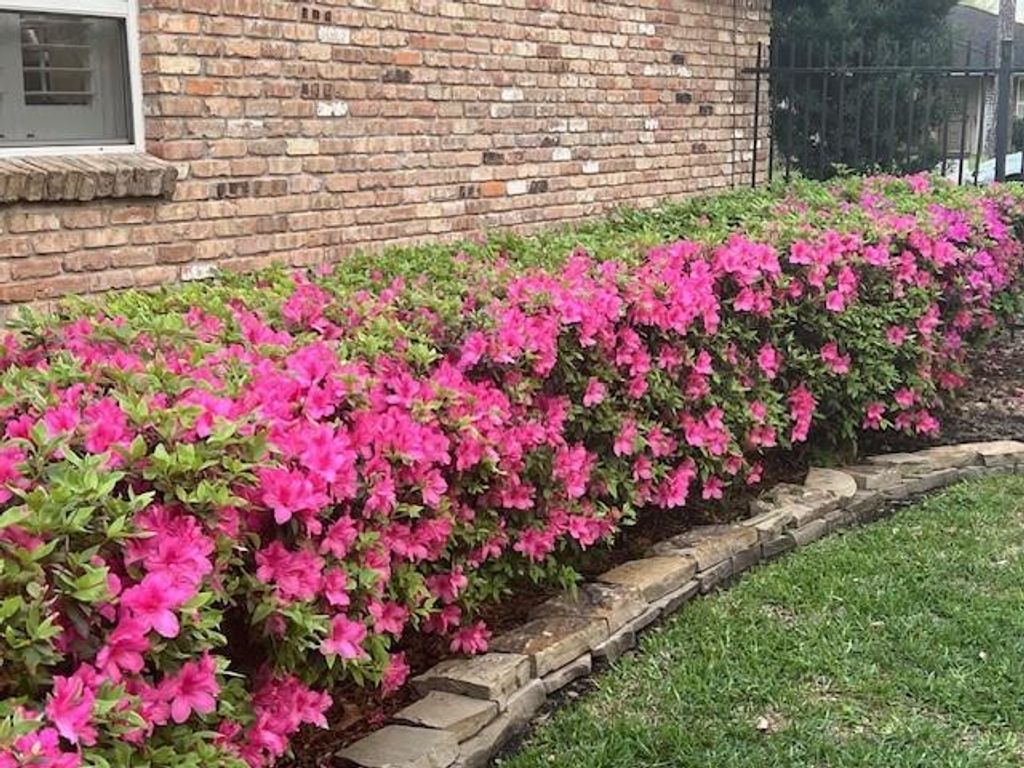 2338 Carleen Road  Houston 77018 Harris - Image 37