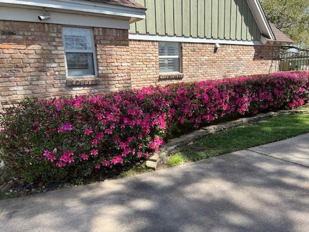 2338 Carleen Road  Houston 77018 Harris - Image 40