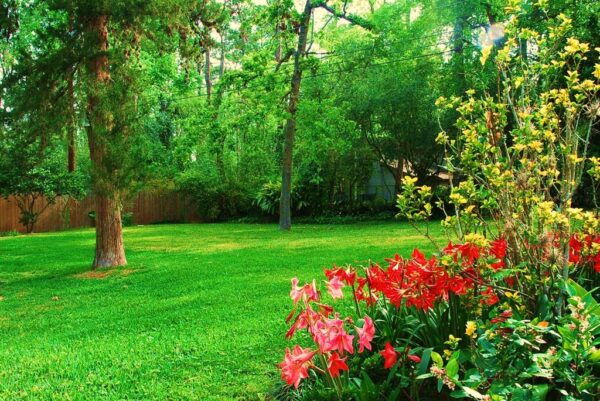 850 Pecanwood Lane  Houston 77024 Harris - Image 22