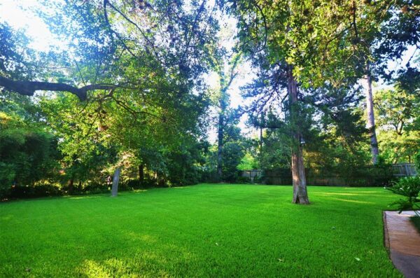 850 Pecanwood Lane  Houston 77024 Harris - Image 24