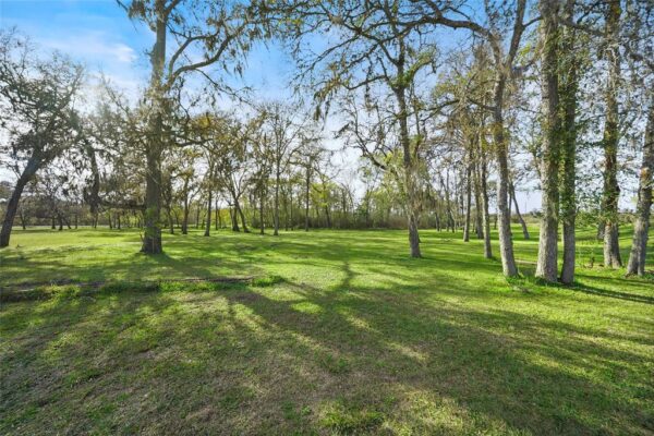 12201 Fm 2759 Road  Richmond 77469 Fort Bend - Image 4