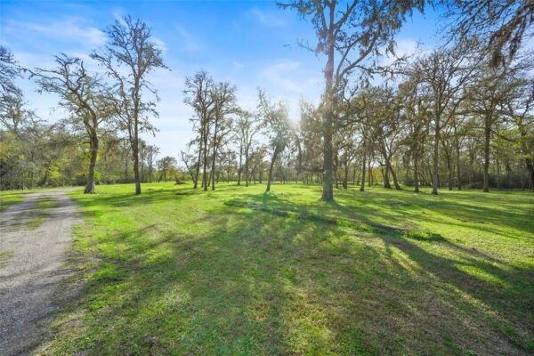12201 Fm 2759 Road  Richmond 77469 Fort Bend - Image 5