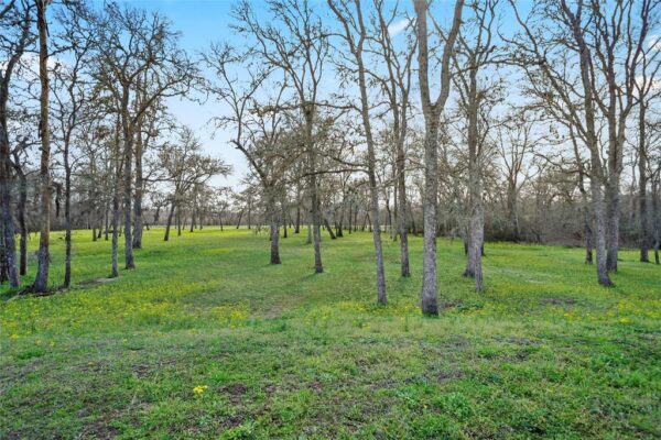 12201 Fm 2759 Road  Richmond 77469 Fort Bend - Image 7